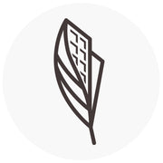 logo of Anywhere Apparel: travel clothing for men and women